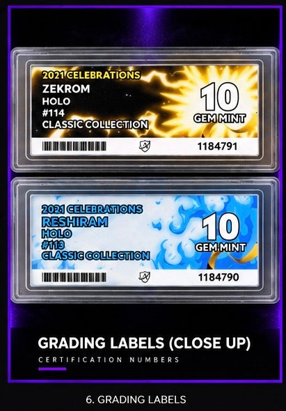 Zekrom & Reshiram — ACE 10 Gem Mint Pair — Celebrations Classic Collection